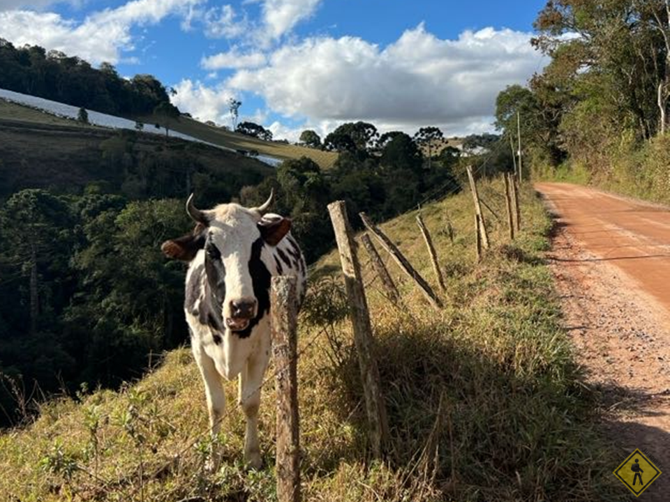 caminho-caminho_da_fe-caminhada-peregrinacao