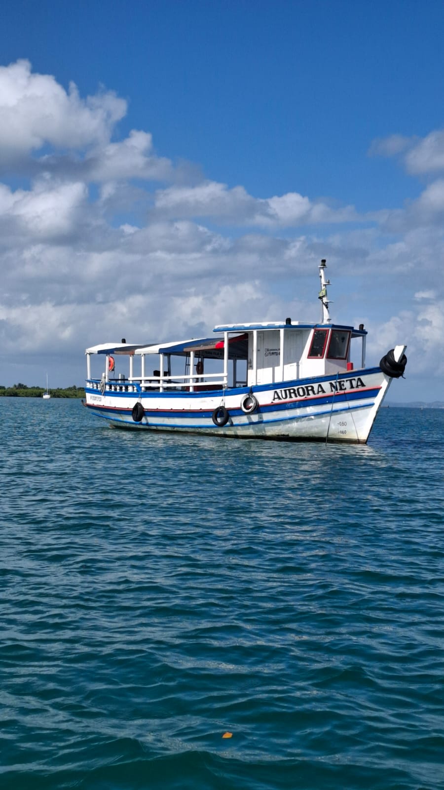 Barco Aurora Neta