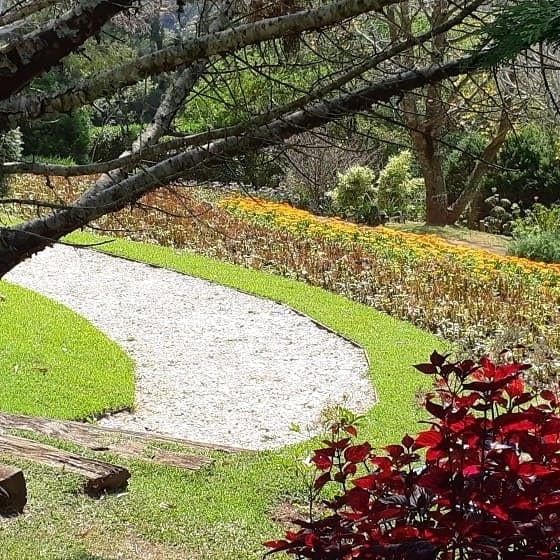 13/08 Santo Antonio do Pinhal e Jardins Temáticos EccoParque