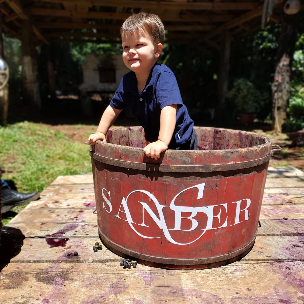 Traga a família para essa experiência