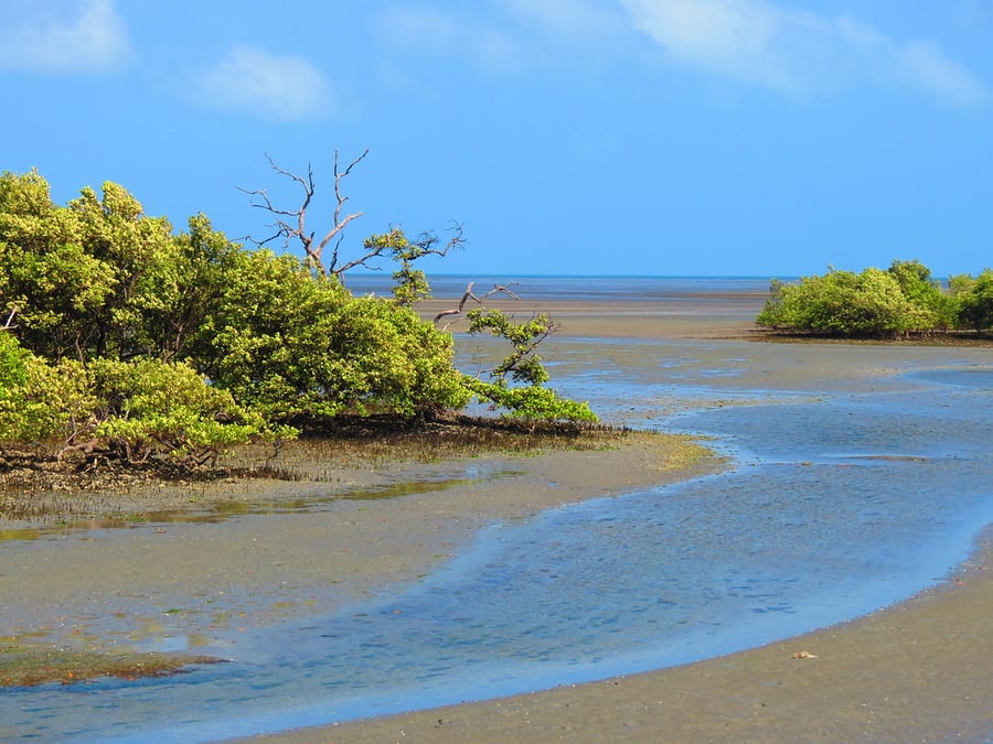 Foz do Rio Jaguaribe