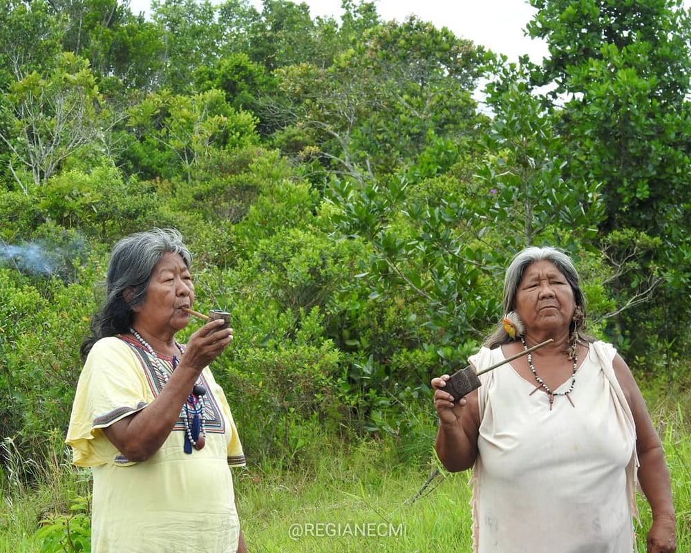 Vivência em aldeia indígena