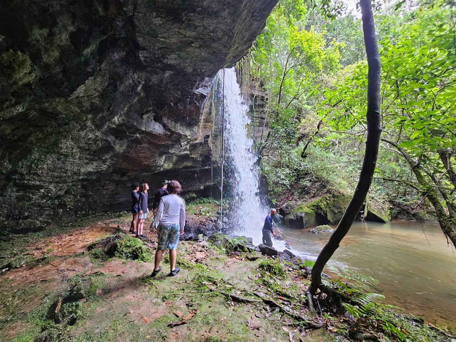 Safari do Macaco Doido em São Bartolomeu