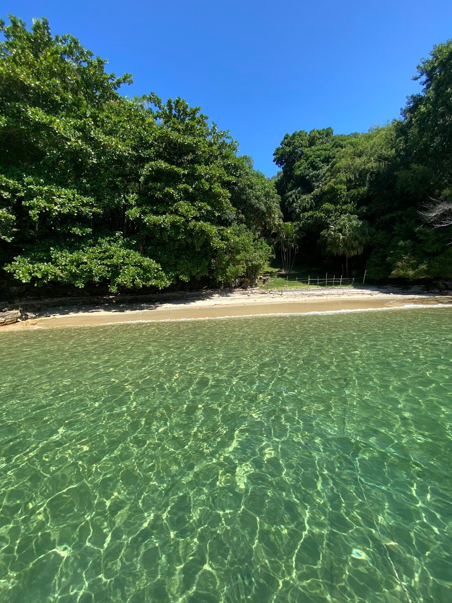 Praia da Pitangueira