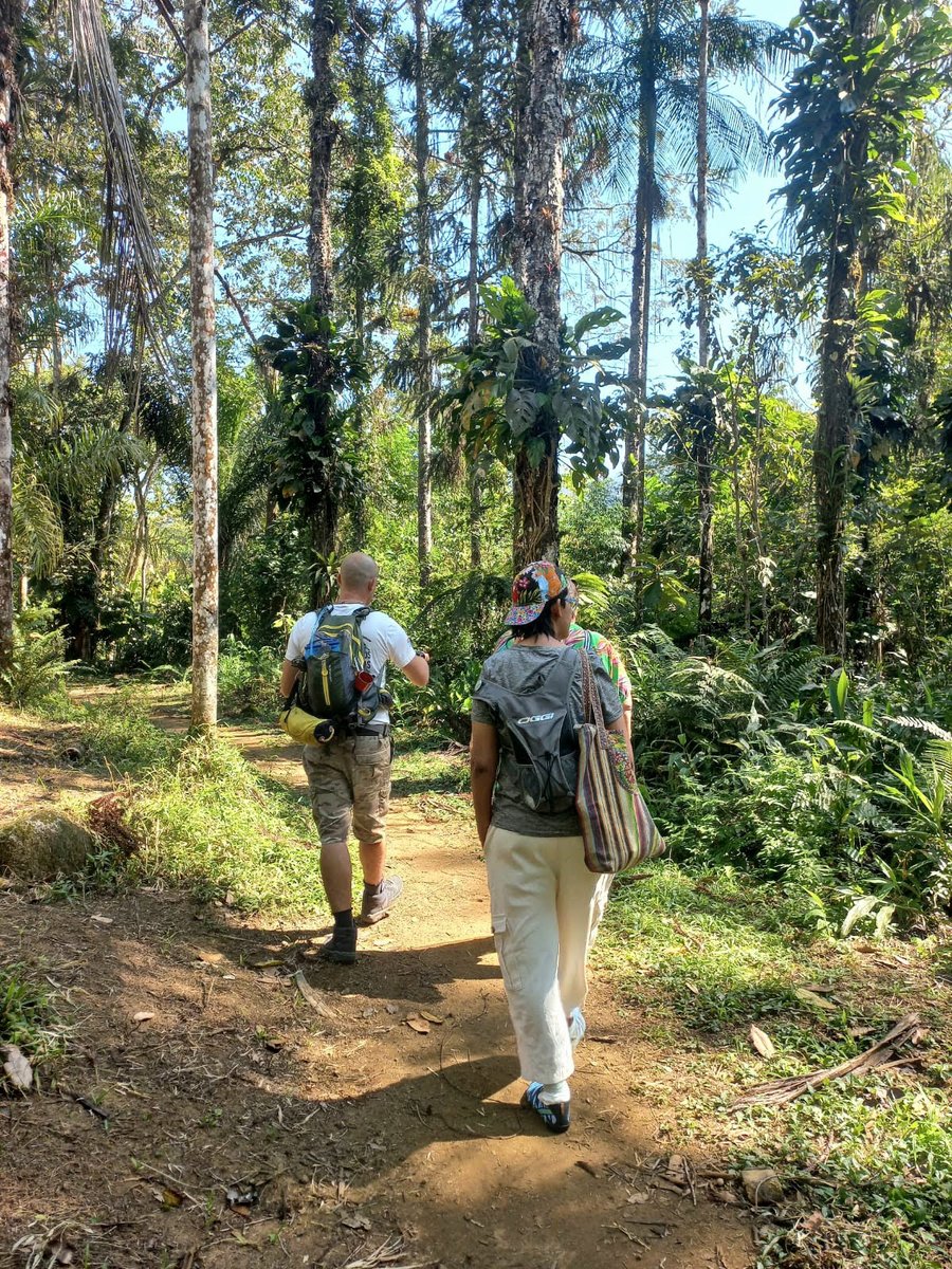 Aldeia Indígena Boa Vista