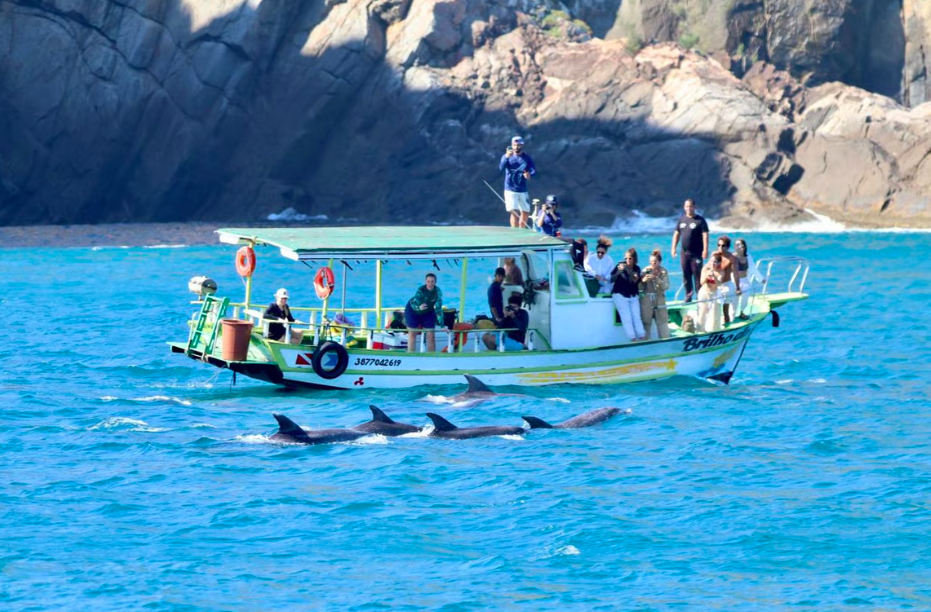 Passeio de Avistamento de Baleias em Arraial do Cabo