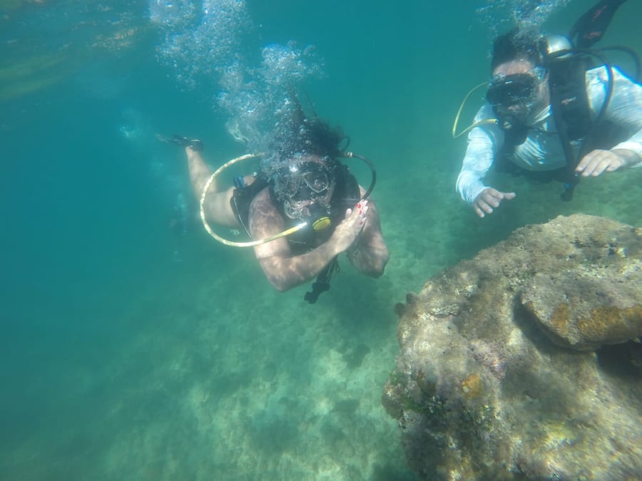 MERGULHO
