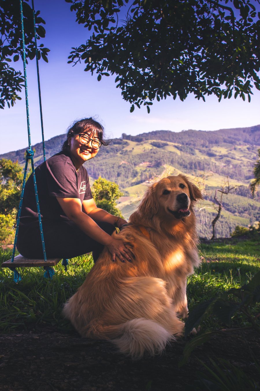 ensaio fotográfico com pet