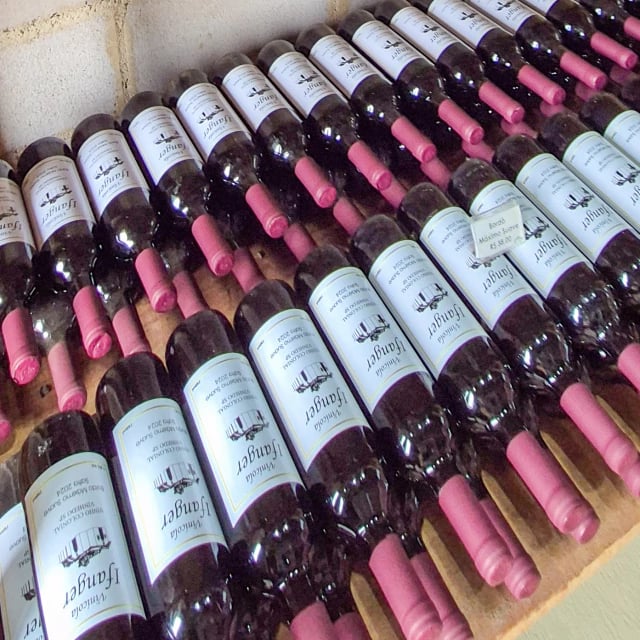 Garrafas de vinho com rótulos brancos, alinhadas em prateleira de madeira
