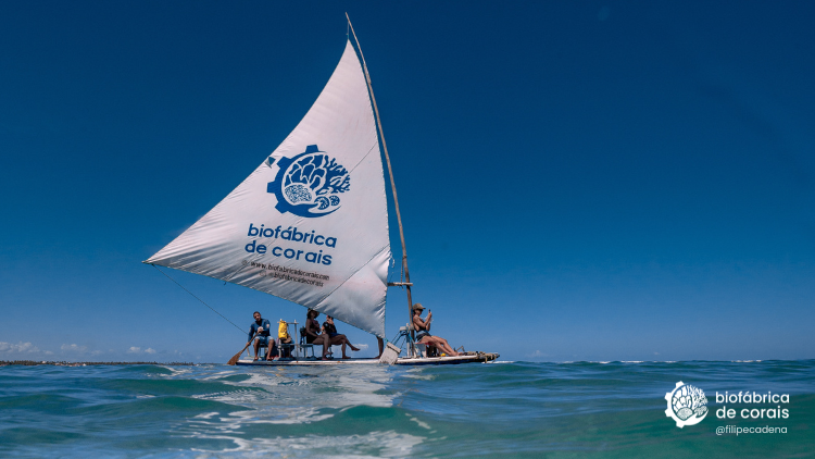 Bioturistas passeando de jangada em Porto de Galinhas