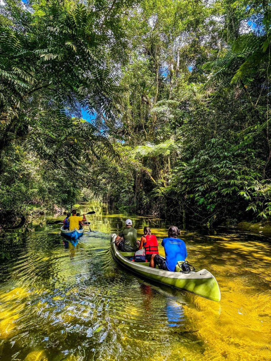 Belezas naturais do Rio Jaguareguava.
