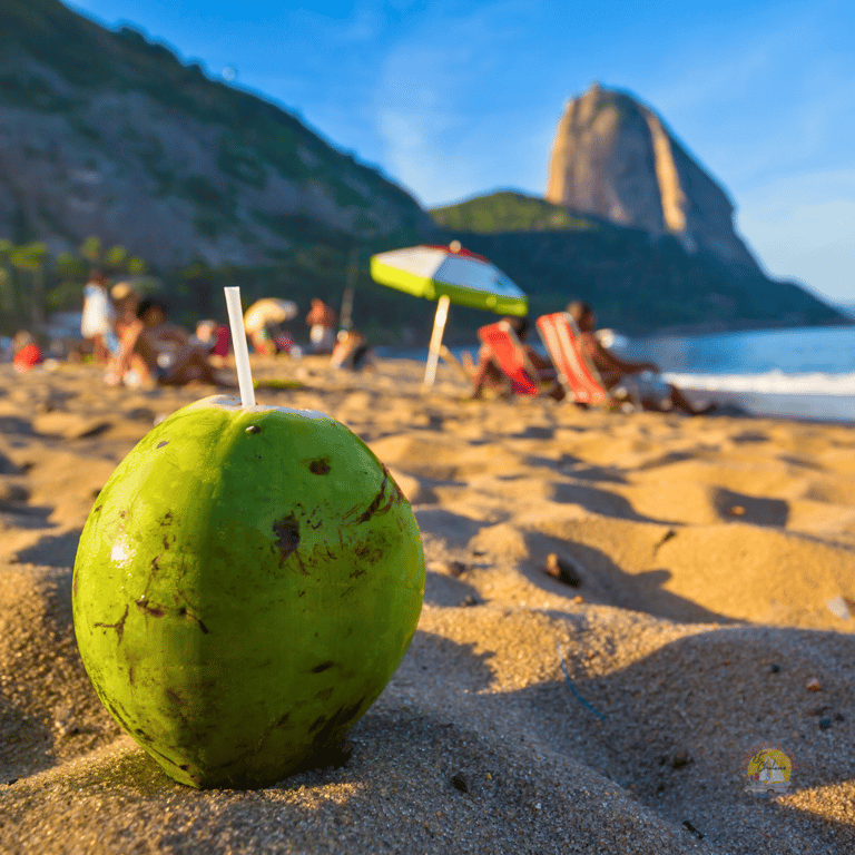 Dezembro no Rio de Janeiro: Dicas e Atrações Imperdíveis para Sua Viagem
