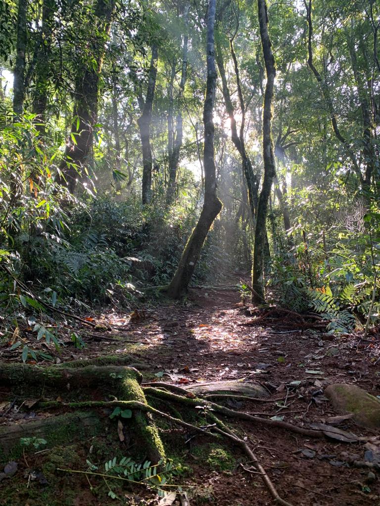 Trilha Cachoeiras do Vale - Veículo Próprio