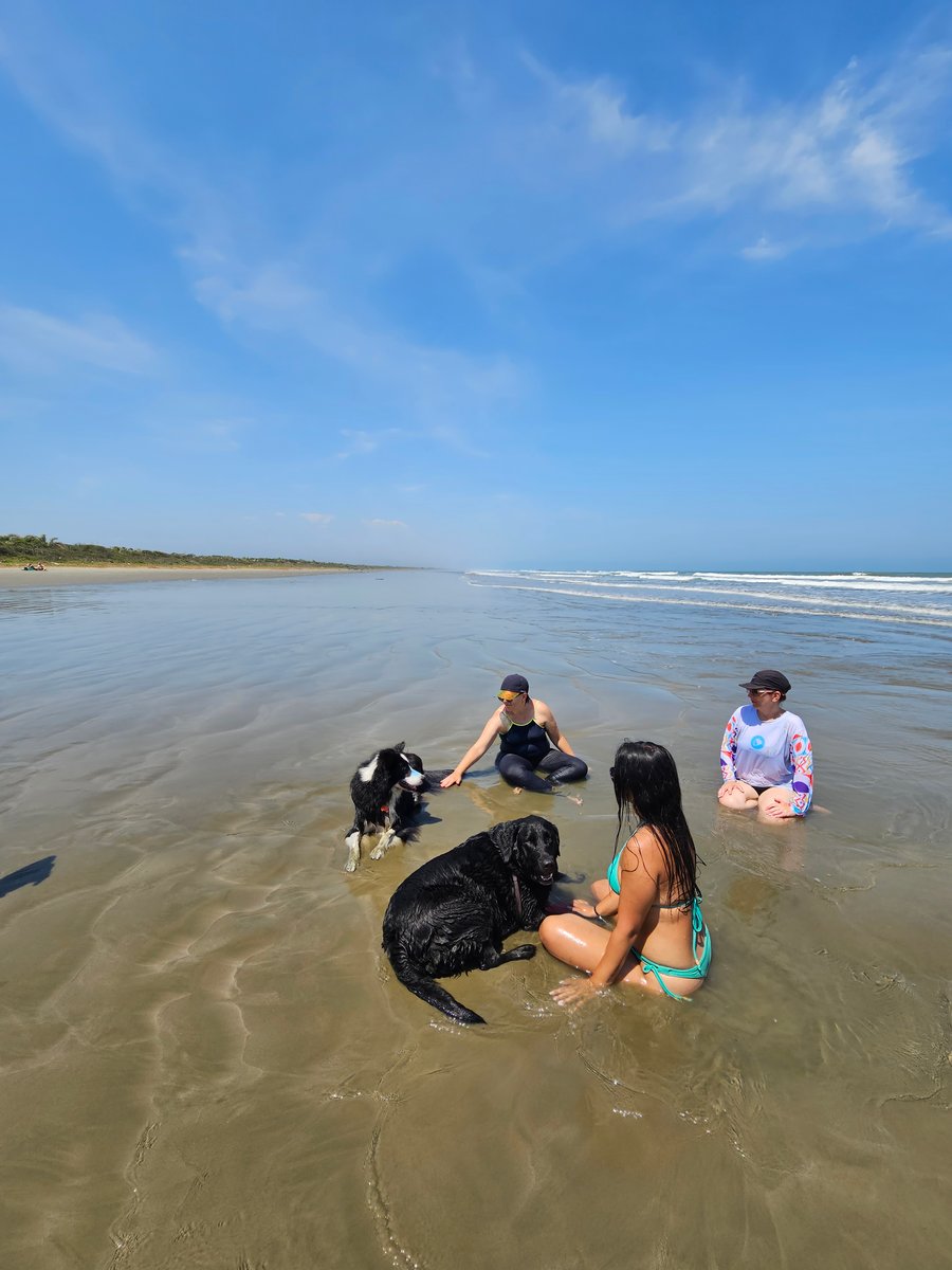 Aventura na praia Peruíbe pet friendly trilha, barco, pousada 