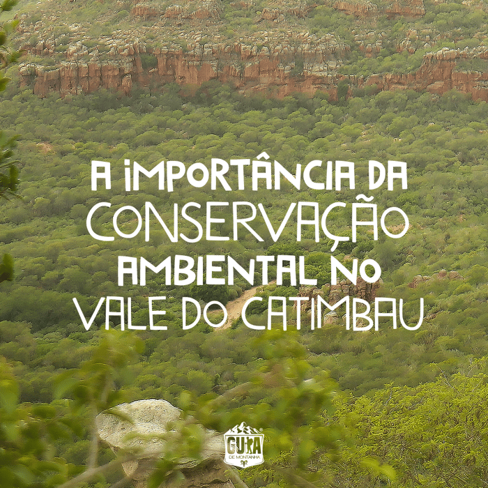 A Importância da Conservação Ambiental no Vale do Catimbau