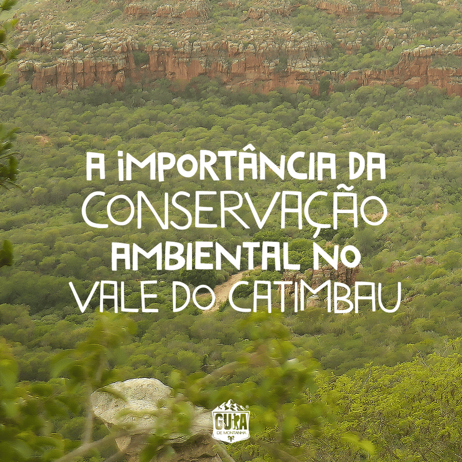 A Importância da Conservação Ambiental no Vale do Catimbau