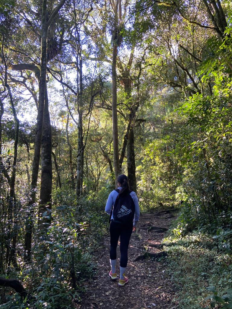 Entrada - Pedra Redonda