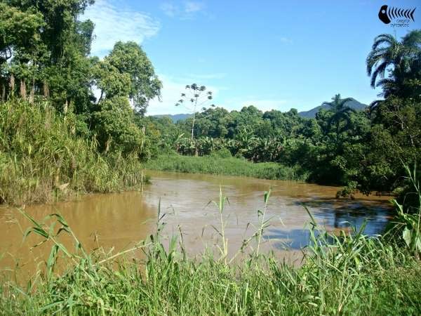 Trilha Cachoeiras do Guaperuvú - Itanhaém/SP
