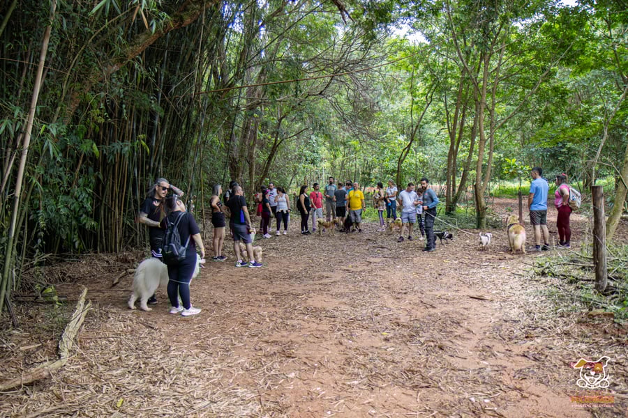 Fazenda Nossa Senhora Conceição pet friendly Jundiaí