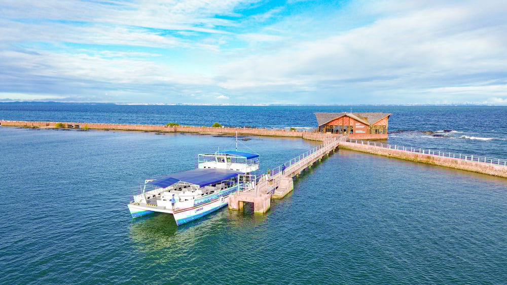 Catamarã