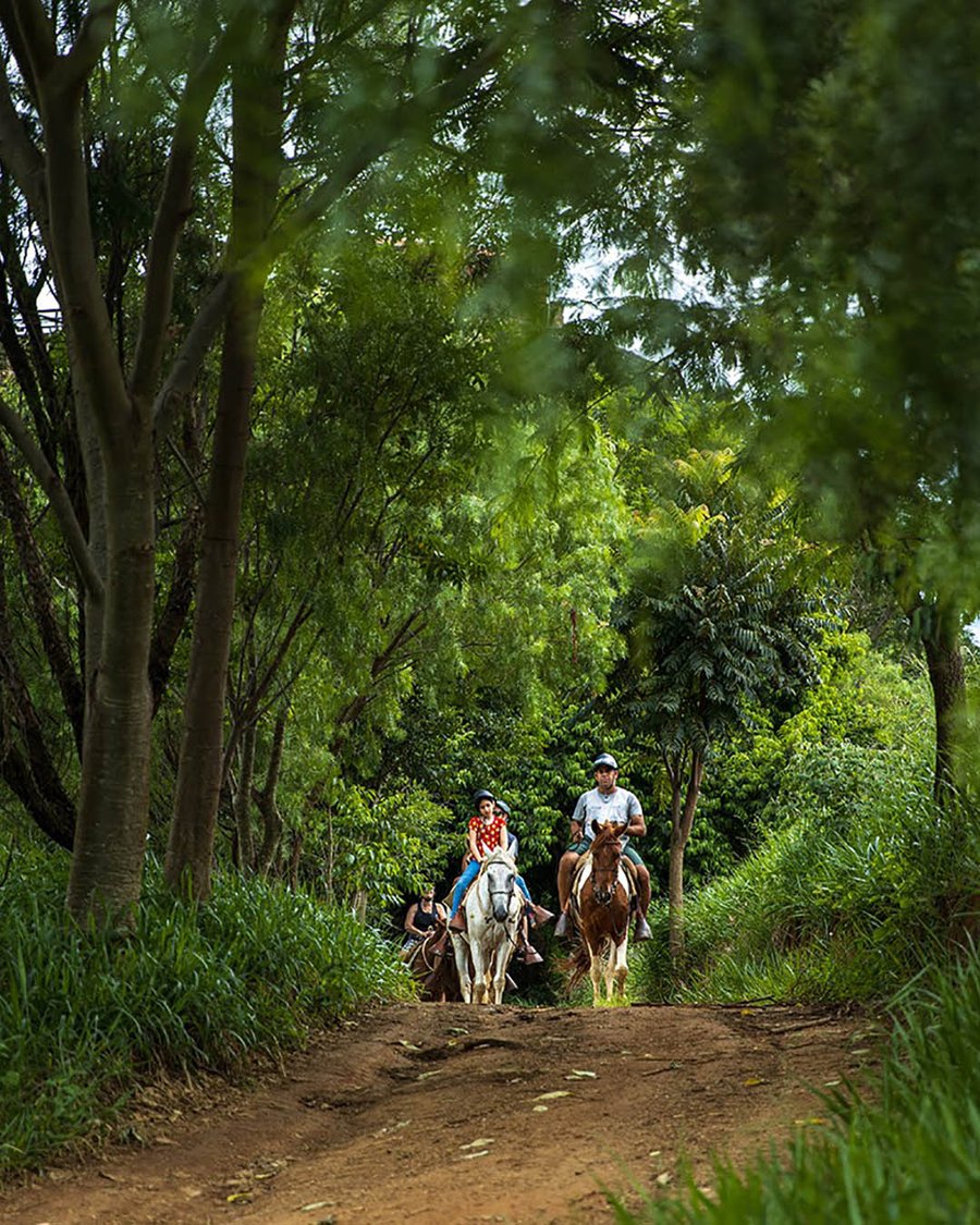 Day Use Hotel Fazenda Parque dos Sonhos