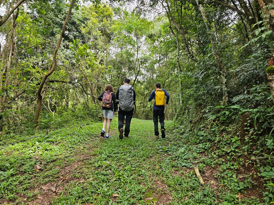 Safari do Macaco Doido em São Bartolomeu