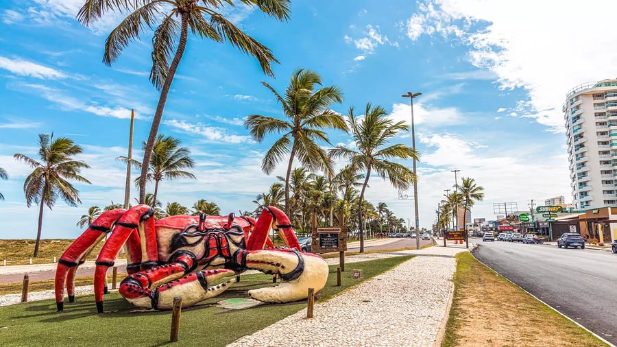 Passeio Aracaju e Fazenda Boa Luz: Natureza e Praia