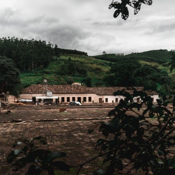 Visita Fazenda Atalaia - Passeio histórico: do café ao queijo