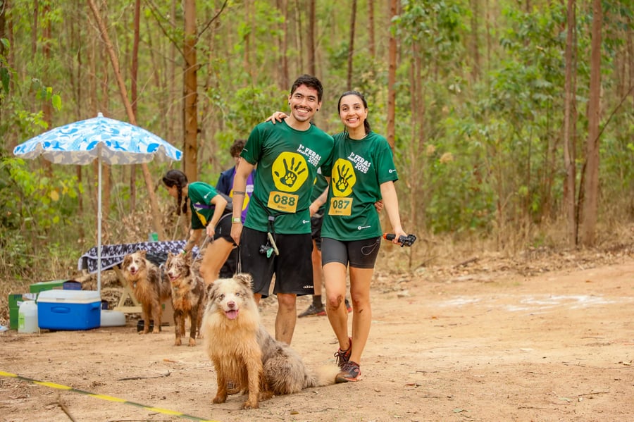 Desafio Feras Pet Friendly