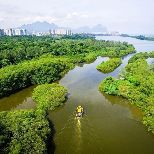 Rio de Janeiro conhecendo a Veneza e o Pantanal Carioca Tour