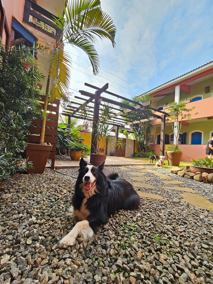Aventura na praia Peruíbe pet friendly trilha, barco, pousada 