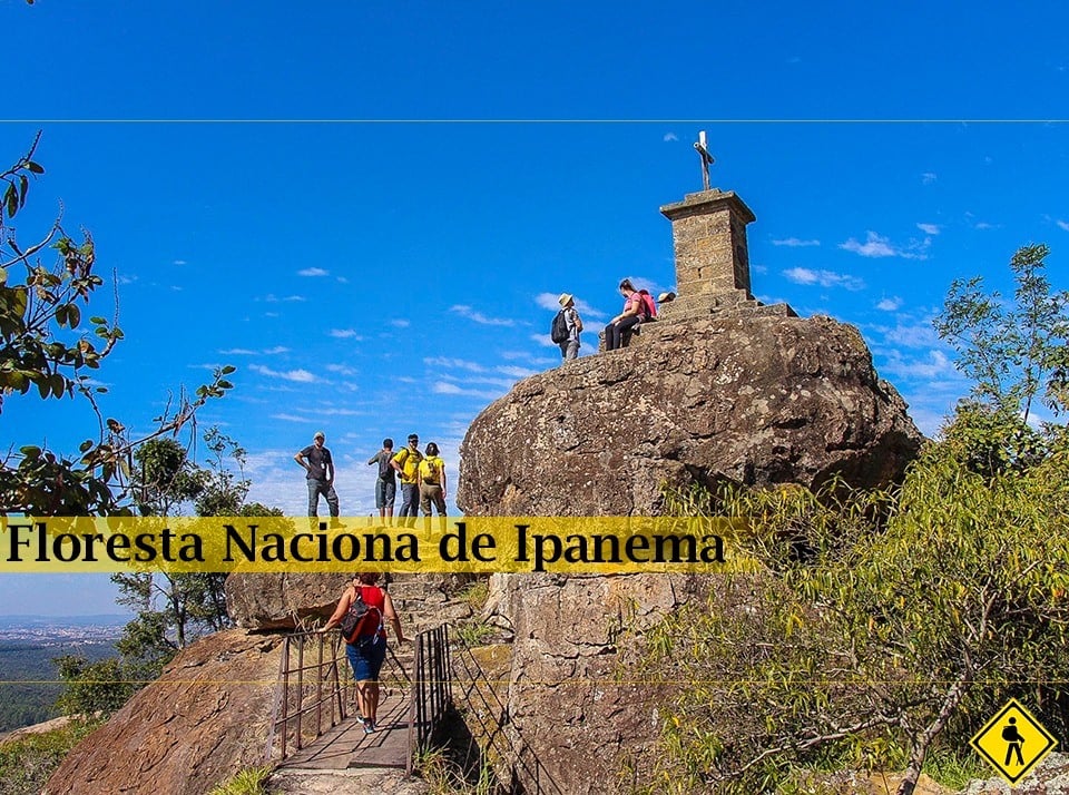 Caminhada Na Floresta Nacional De Ipanema 