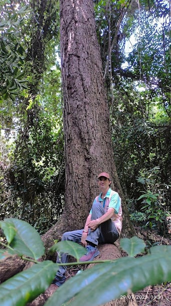 Trilha Mata Atlântica Itapororoca