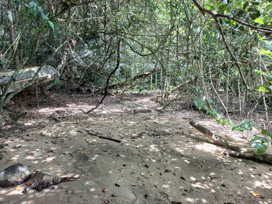Praias do Norte de Ubatuba