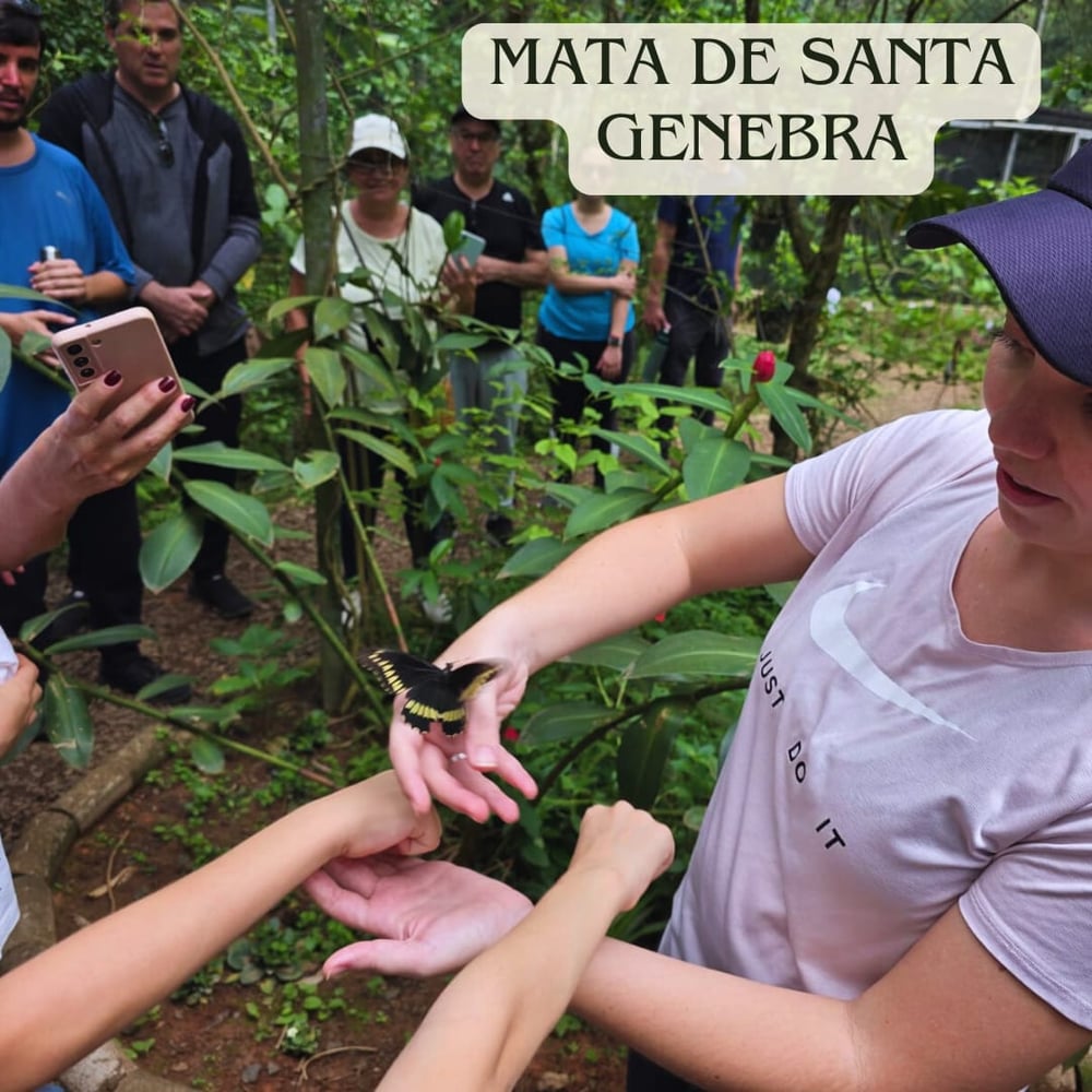Natureza Guiada - atividades