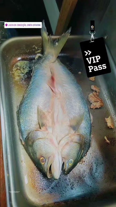 ALMOÇO VIP DO CAPITÃO