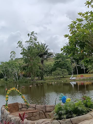 BATE E VOLTA PARQUE TIMBÓ