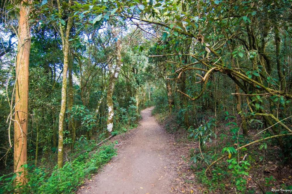 PEDRA REDONDA + TOUR PERSONALIZADO EXCLUSIVO (02 PESSOAS)