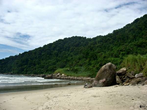 Parque Estadual Xixová Japuí - Trilha do Curtume - São Vicente e Praia Grande SP