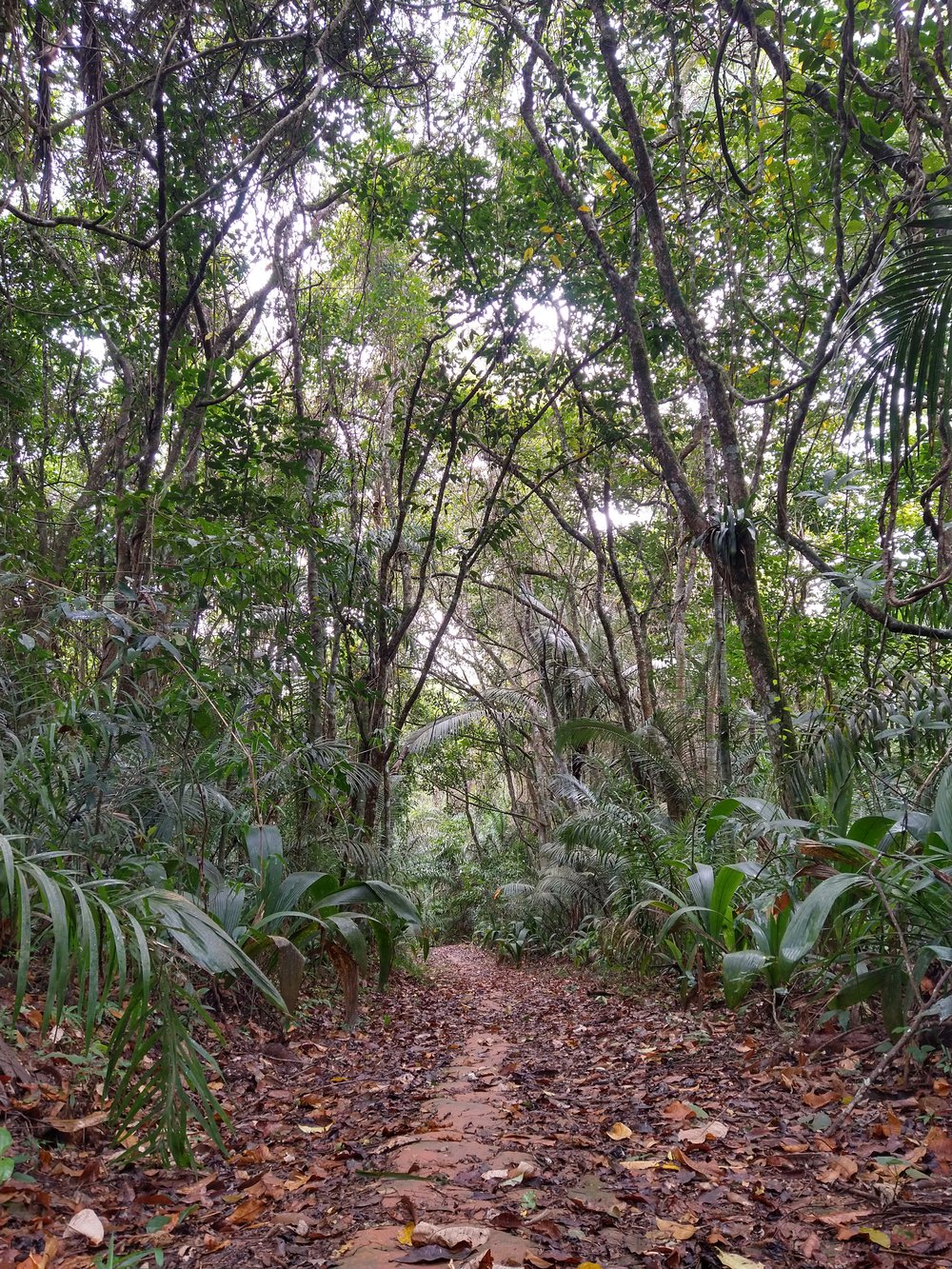 Bora fazer uma trilhinha de 10km?