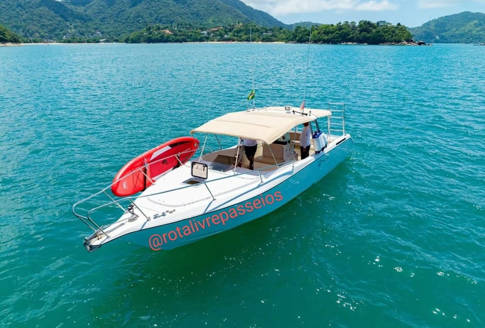 lancha 15 pessoas 31 pés 