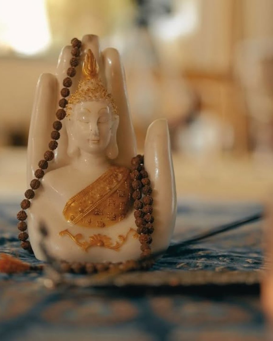 Orchestra do Silêncio Retiro Zen Pet