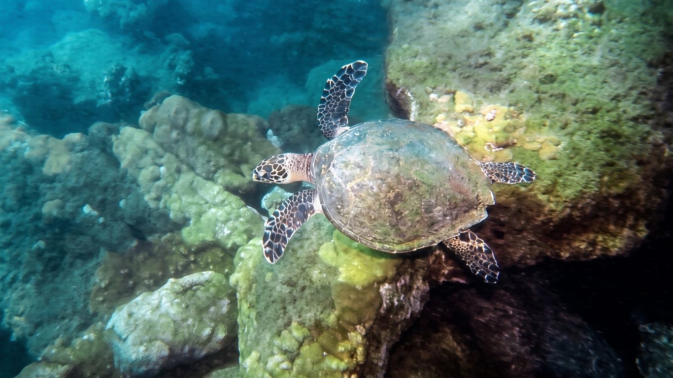 Praia paradisíaca
