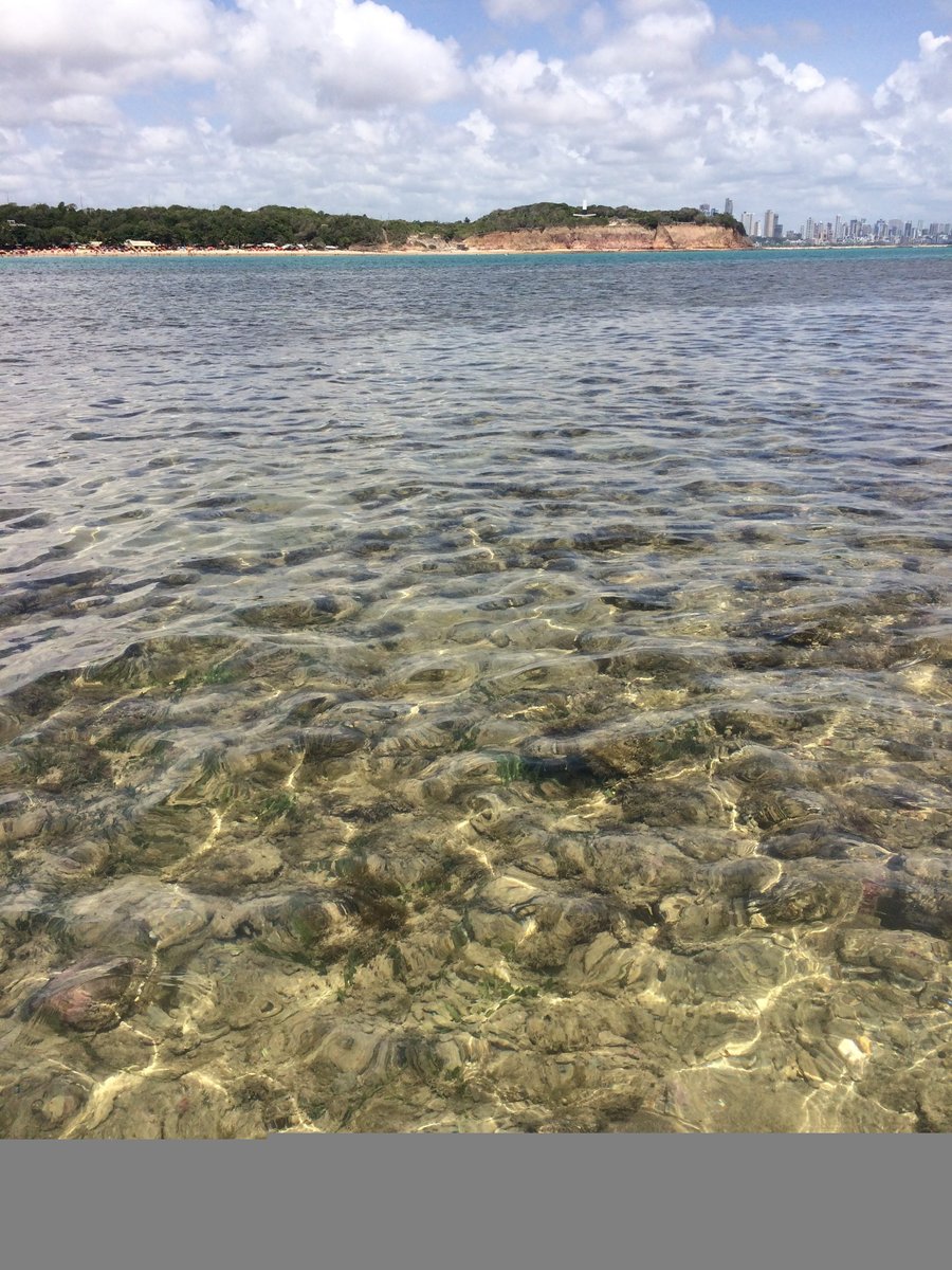 Seixas 2