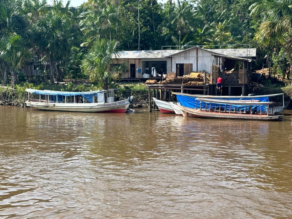 No Coração do Amazonas: Uma Jornada Única