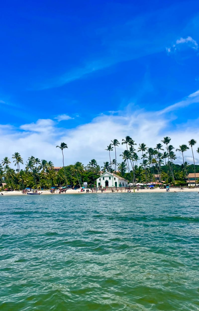 Passeio de Catamarã em Carneiros