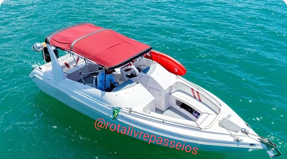 lancha 12 pessoas 26 pés 