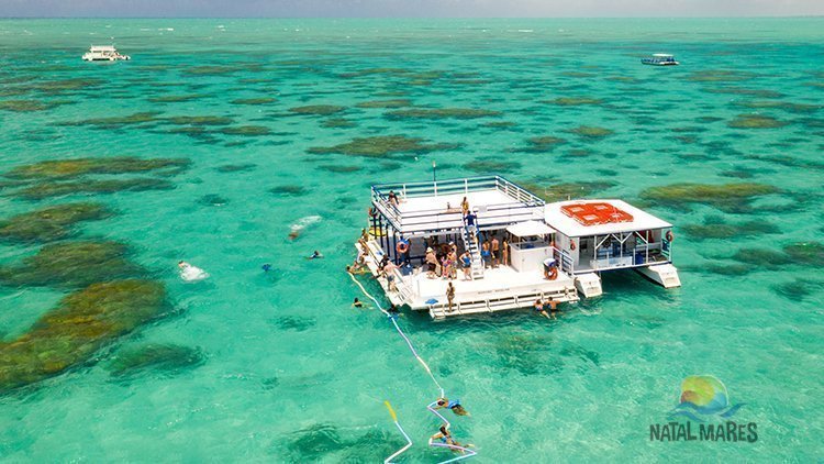 Mergulho nos Parrachos de Maracajaú com Transfer