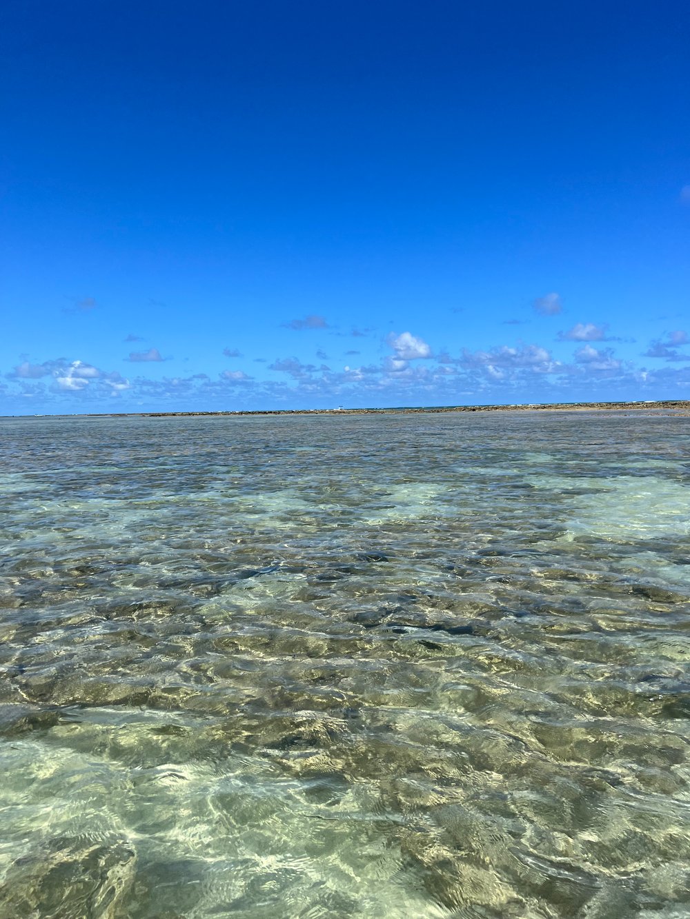 PISCINA NATURAIS