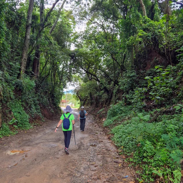Trilha de terra em meio à mata fechada, com duas pessoas caminhando ao fundo